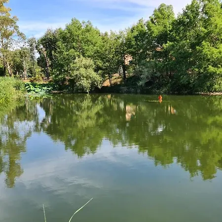 Les Restanques Du Golfe De Saint Tropez,