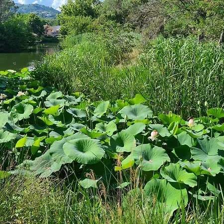 Les Restanques Du Golfe De Saint Tropez, Апартаменты Гримо