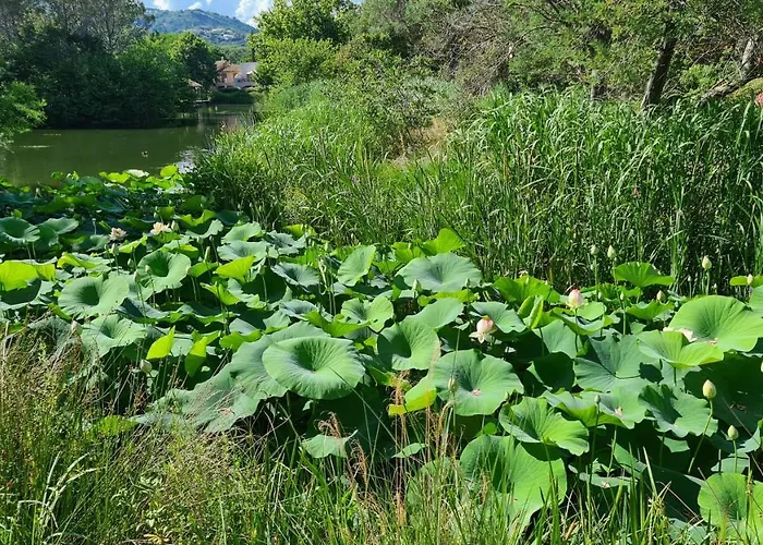 Les Restanques Du Golfe De Saint Tropez, Apartment Grimaud